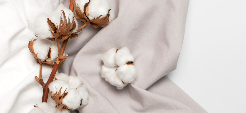 Cotone