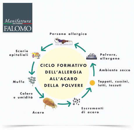 Il ciclo di vita dellacaro: 4 semplici consigli per combattere gli ... Come eliminare gli acari della polvere