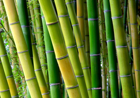 Materassi canne di bamboo